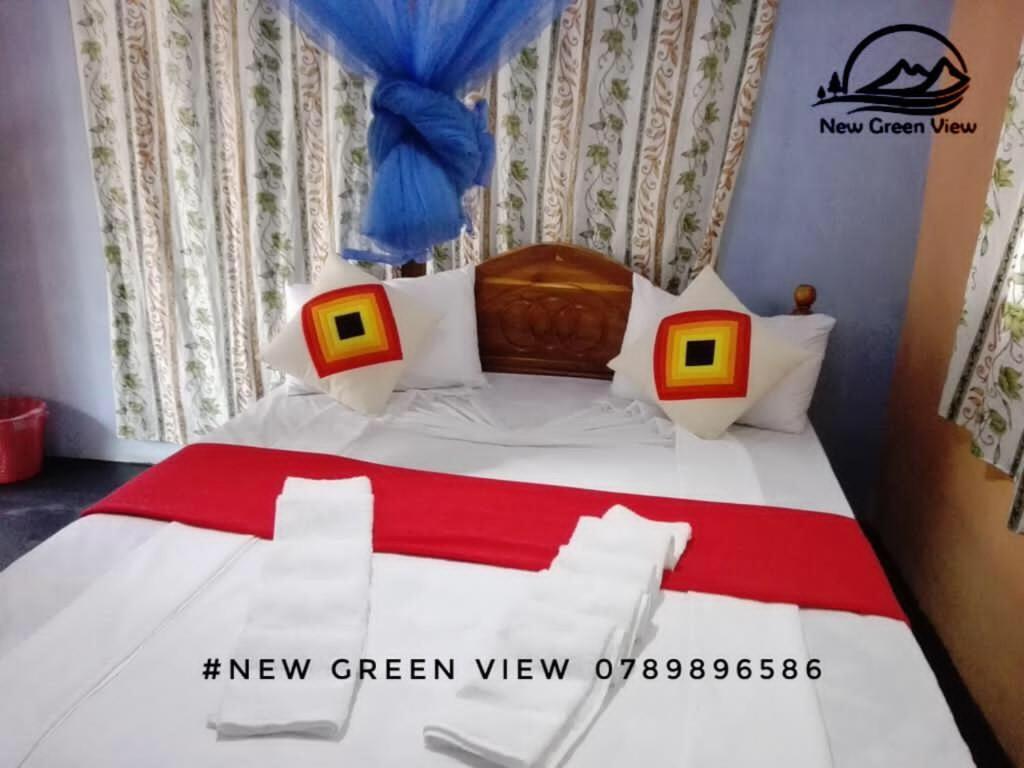 New Green View Resort エッラ エクステリア 写真